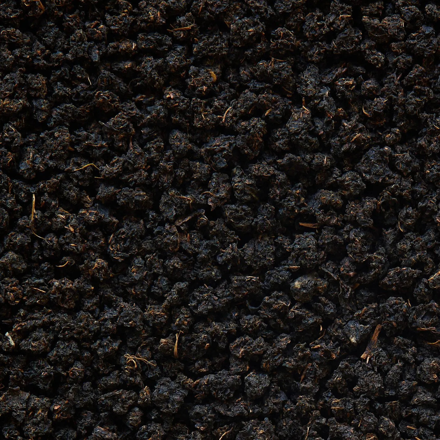 Herbata Czarna Broken Assam „Typhoo” Bukhial BOP - 50 g